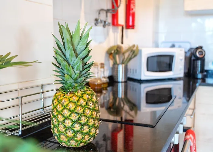 Beauty & Cozy * Tavira